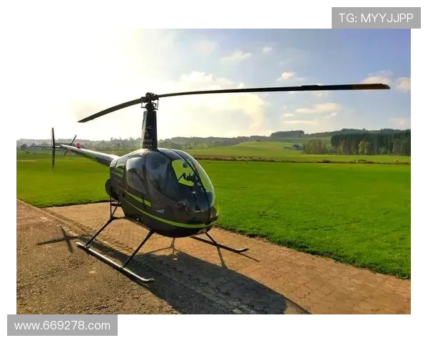 直升机桨叶的动应力特性研究